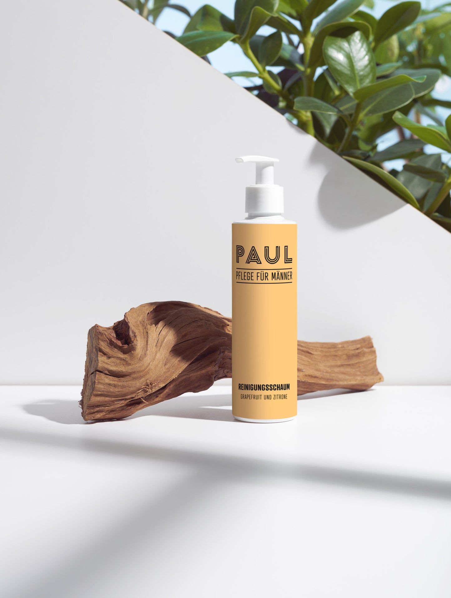 Reinigungsschaum, GRAPEFRUIT UND ZITRONE