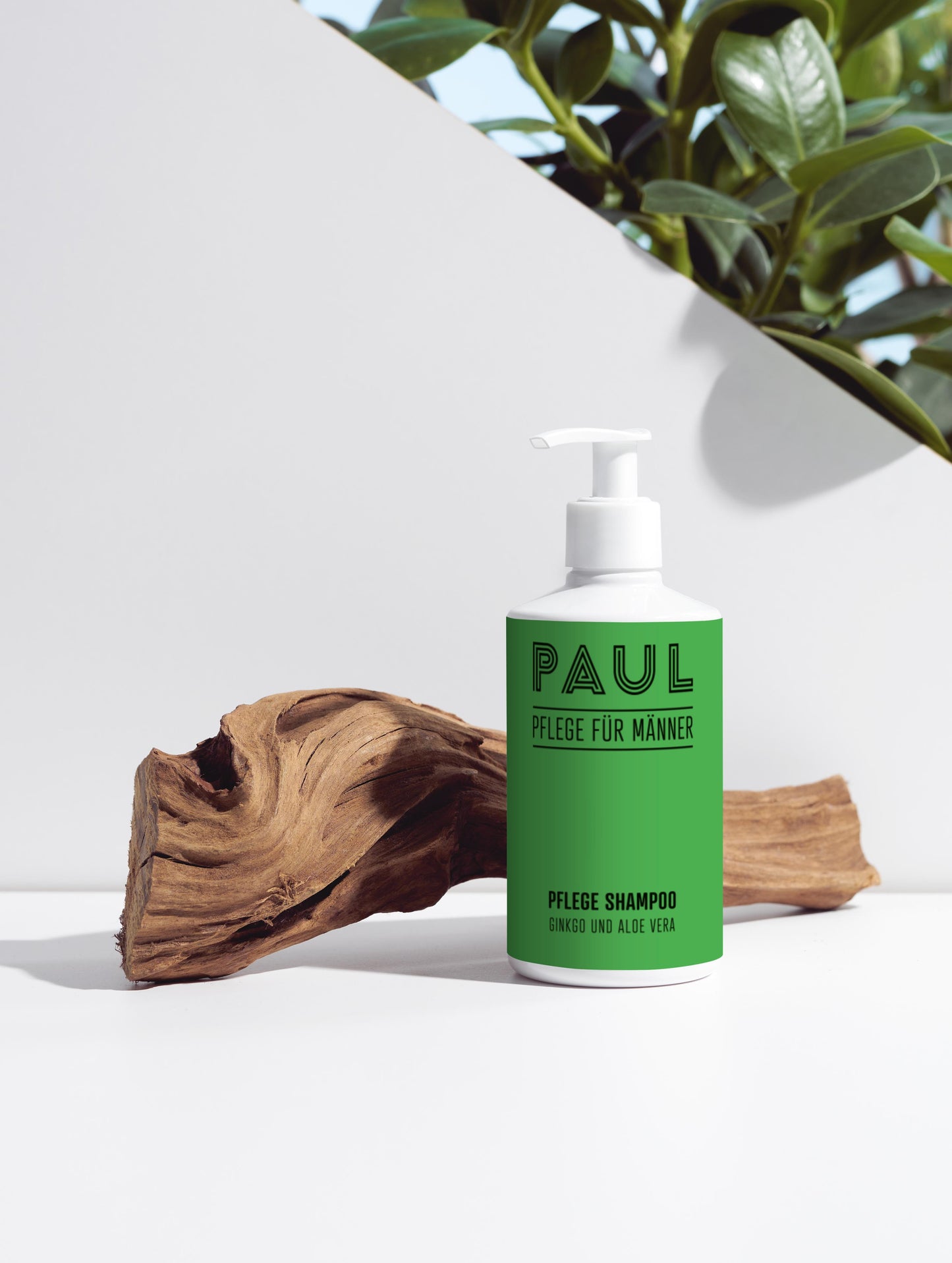 Pflege Shampoo, GINKGO UND ALOE VERA